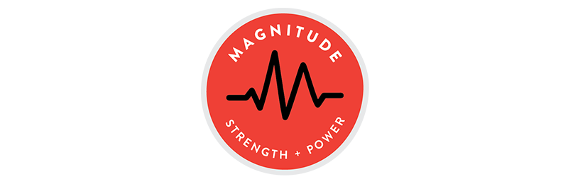 Magnitude Tdss Partners Web