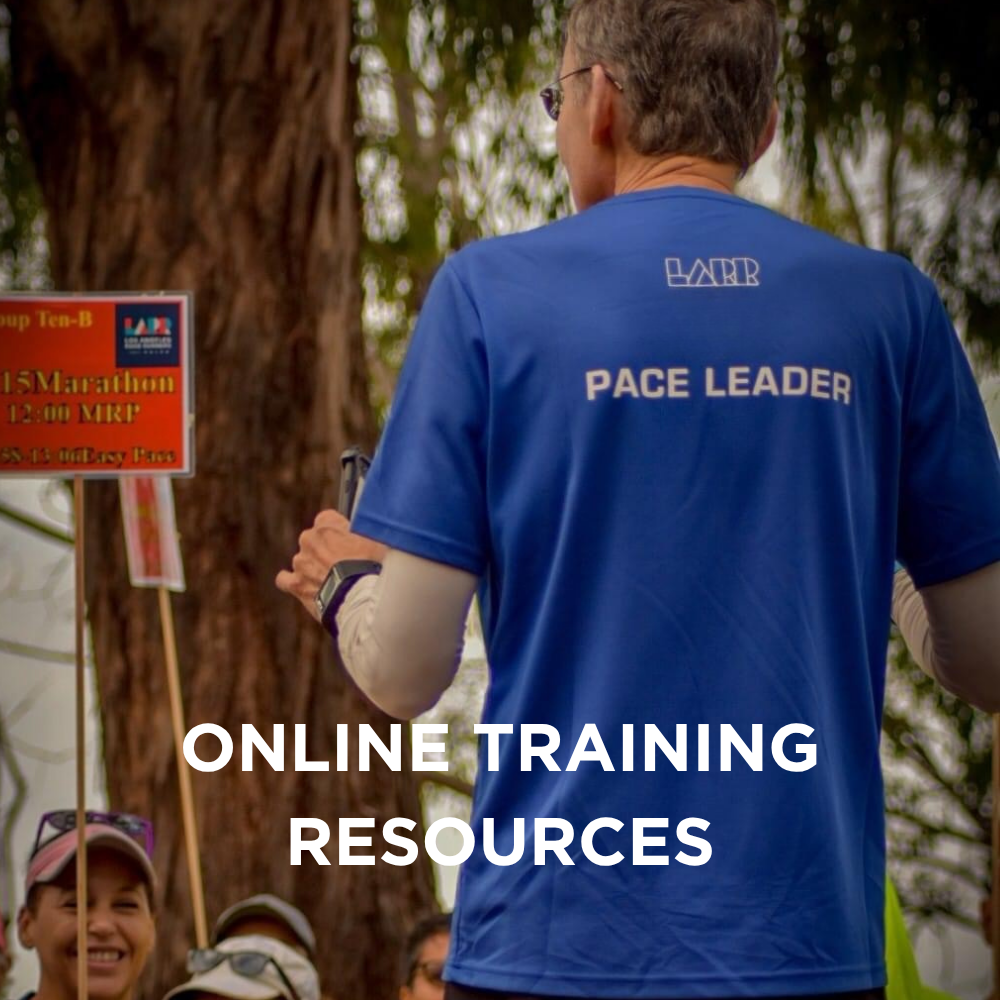 Sq Online Training Sq Online Training